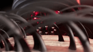 Nue scalp Massager Brush applying on hair close up