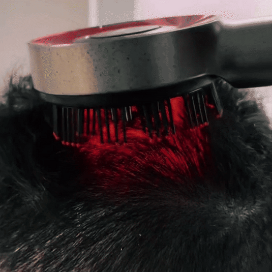 The Nue™ Hair Growth & Scalp Massager Brush